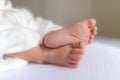 A new born baby feet Royalty Free Stock Photo