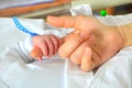 New born baby hand Royalty Free Stock Photo