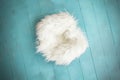 New born or baby portrait photography backdrop white fur on blue painted wood boards Royalty Free Stock Photo