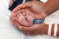 New born Baby`s feet (in mommy`s hands) Royalty Free Stock Photo