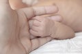 New-born baby`s tiny hand in father`s hand. Royalty Free Stock Photo