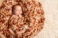 New Born Baby wrapped in Woolen Blanket, Newborn Child lying in Nest. Cute Infant over beige Fluffy Carpet Background Royalty Free Stock Photo