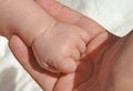 New born clenched baby girl hand in mother`s hand Royalty Free Stock Photo