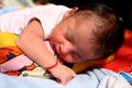 New Born Cute Baby Sleeping Portrait looking so lovely. Royalty Free Stock Photo