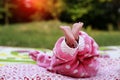 New Born Cute Baby Sleeping Portrait looking so lovely. Royalty Free Stock Photo