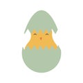 new born easter egg. Vector illustration decorative design