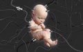A new born infant baby isolated on dark background with clipping path