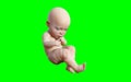 A new born infant baby isolated on green background with clipping path