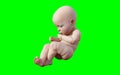A new born infant baby isolated on green background with clipping path