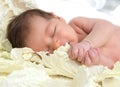 New born infant child baby girl lying and sleeping in cabbage le Royalty Free Stock Photo