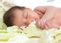 New born infant child baby girl lying and sleeping in cabbage le Royalty Free Stock Photo