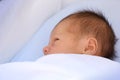 New born sleep Royalty Free Stock Photo