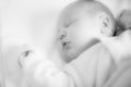 New born sleep Royalty Free Stock Photo