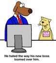 New Boss