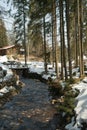 New bridge from brevet across a mountain stream in winter on a sunny day. Carpathians. Ukraine. Royalty Free Stock Photo