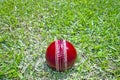 New Bright Red Cricket Ball On Green Grass Field Royalty Free Stock Photo