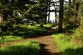 New Brighton State Beach and Campground, Capitola, California Royalty Free Stock Photo