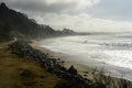 New Brighton State Beach and Campground, Capitola, California Royalty Free Stock Photo
