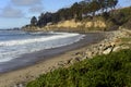 New Brighton State Beach and Campground, Capitola, California Royalty Free Stock Photo