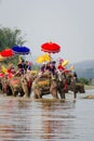 New Buddhist monks in elephant ordination