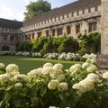 The New Building of Oxford Magdalen College,