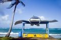 New bus stop on main road Sally Peachie Corn Island Nicaragua Ce Royalty Free Stock Photo