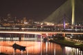 New so called Bridge over the Ada in Belgrade, capitol of Serbia. Beautiful night view on panoramic Belgrade Royalty Free Stock Photo