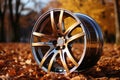 new car wheel, alloy rim in autumn forest with bright yellow leaves Royalty Free Stock Photo