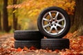 new car wheels decorated with bright yellow leaves on the road in the autumn forest Royalty Free Stock Photo