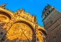 New cathedral or Catedral Nueva in Salamanca, Spain Royalty Free Stock Photo