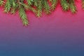 New Christmas background with real pine tree branches Royalty Free Stock Photo