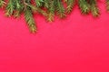 New Christmas background with real pine tree branches Royalty Free Stock Photo