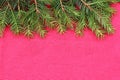 New Christmas background with real pine tree branches Royalty Free Stock Photo