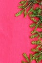 New Christmas background with real pine tree branches Royalty Free Stock Photo