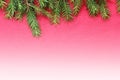 New Christmas background with real pine tree branches Royalty Free Stock Photo