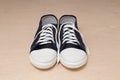 New clean unworn sneakers over light wooden background Royalty Free Stock Photo
