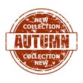 New collection autumn stamp print texture burgundy