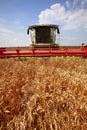 New combine harvester working in field Royalty Free Stock Photo