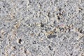 New concrete roadbed background made with cement and stone gravel