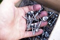 New construction nails and screws in a paper box Royalty Free Stock Photo