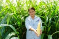 New corn yield in the hands of the farmers Royalty Free Stock Photo