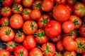 New crop of fresh organic tomatoes. top vire background Royalty Free Stock Photo