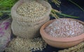 The new crop of harvest. The Aluth Sahal Mangalle or the New Rice Festival