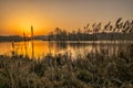 New day Norfolk Broads Royalty Free Stock Photo