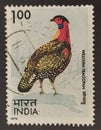 Indian postage stamp depicting a Western Tragopan