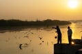 Man feeding Siberian gulls at Yamuna river Royalty Free Stock Photo