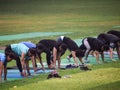 New Delhi, India, May 31 2023 - Group Yoga exercise class Surya Namaskar for people of different age in Lodhi Garden,