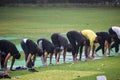 New Delhi, India, May 31 2023 - Group Yoga exercise class Surya Namaskar for people of different age in Lodhi Garden,
