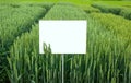 demo varieties of winter barley sectors with pointers