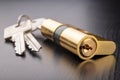 A new door lock on a dark background. A patent and keys to secure the front door Royalty Free Stock Photo